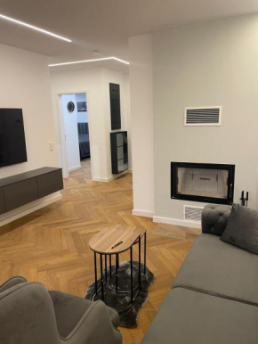 Neubau Apartment mit Kamin und Terrasse in Premium Lage Parkplatz inklusive